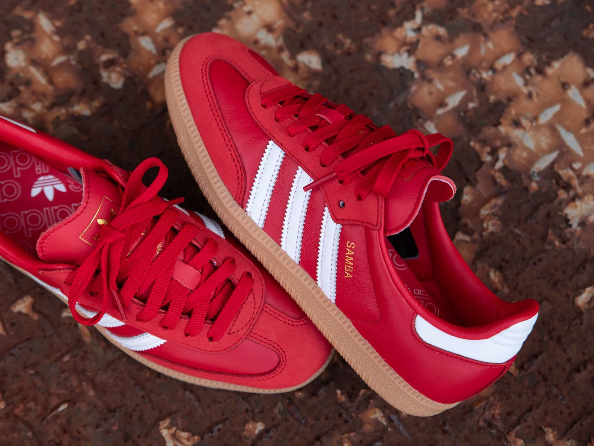 Sale Adidas Golf Shoes Adidas Women's Samba OG 'Scarlet'