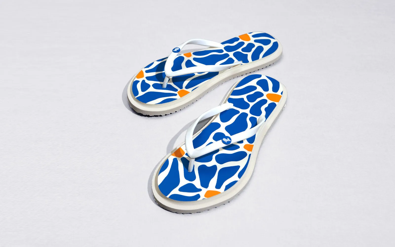 Printed Flip Flops : Blue Character Flip Flops