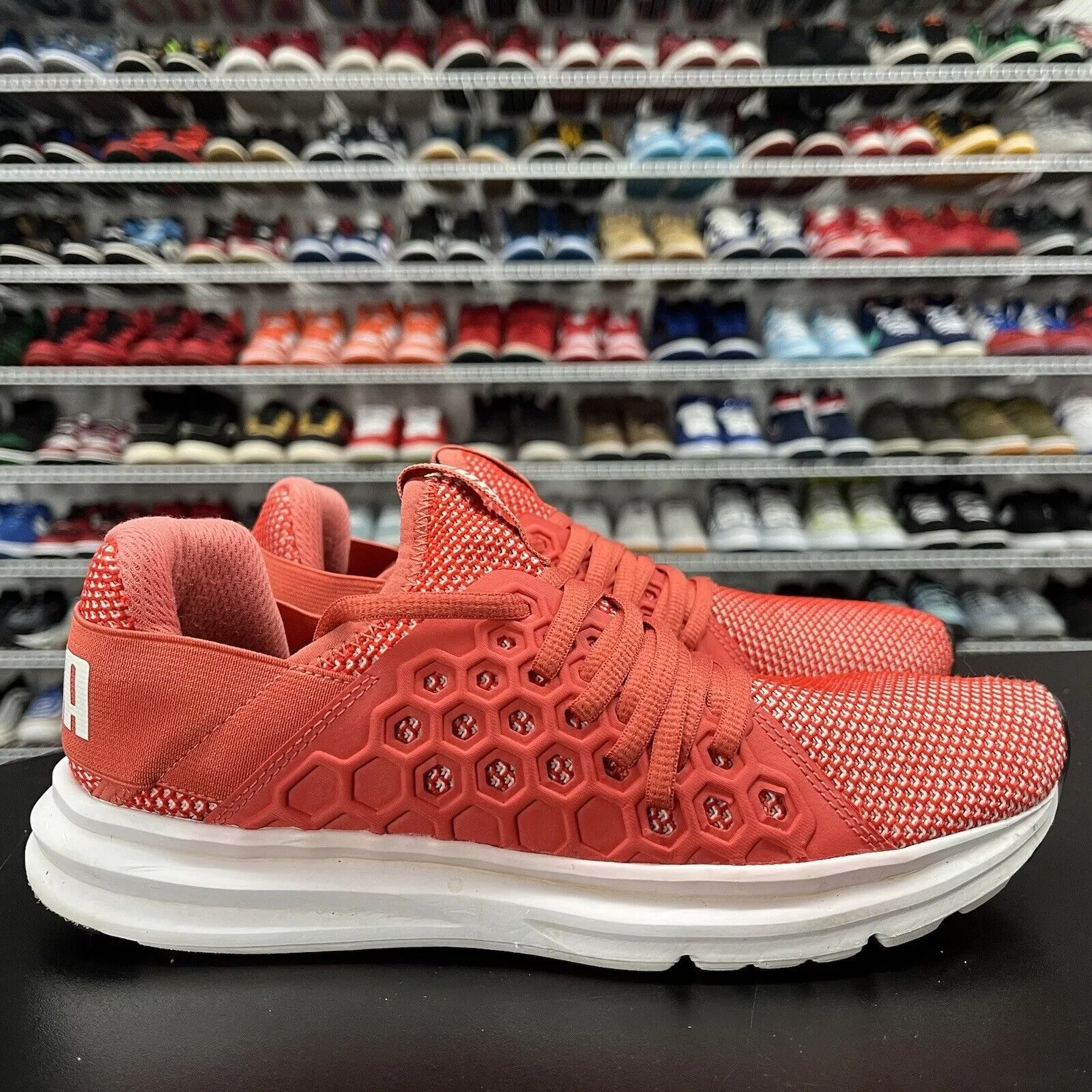 Puma Running Shoe Lineup PUMA Women's Enzo NF Running Shoe 190933 03 Women's Size 8.5