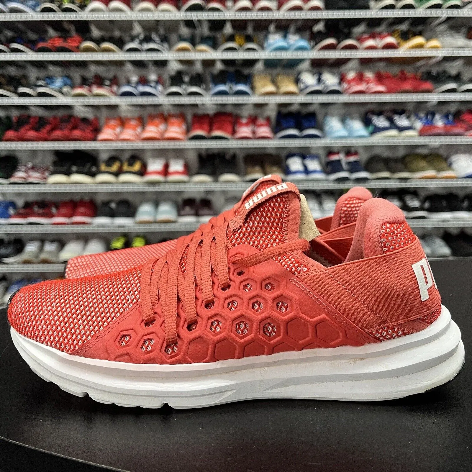 PUMA Women's Enzo NF Running Shoe 190933 03 Women's Size 8.5 Puma Ferrari Roma Shoes