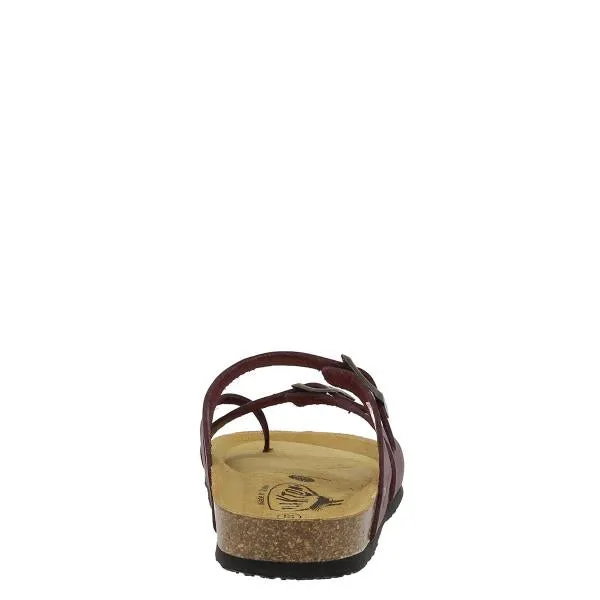 Sandals Slip Plakton 181032 Burgundy Thong Sandals