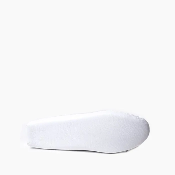 Ziigwan Waabigwan Limitless Slides